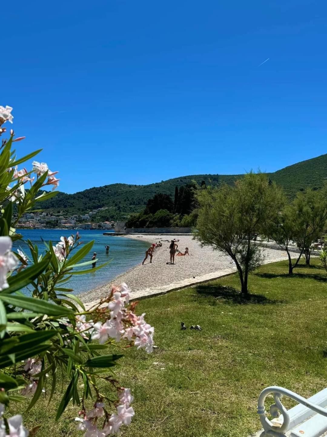 Apartman Karlo