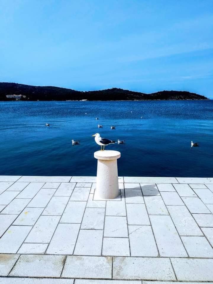 Apartman Karlo Apartma *