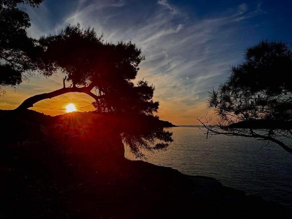Apartman Karlo Rukavac (Vis)