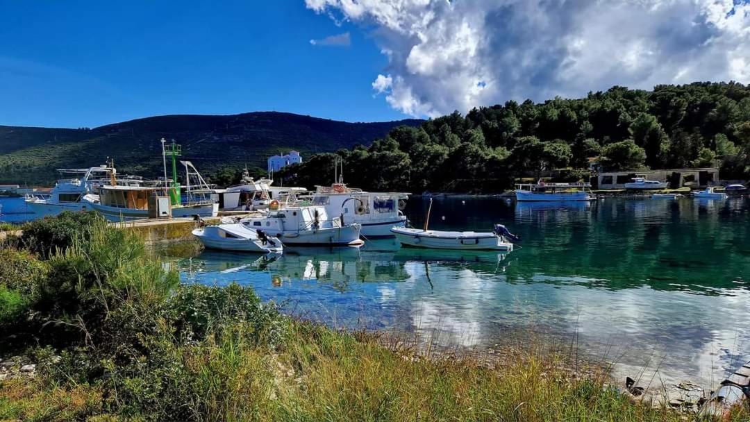 Apartman Karlo *