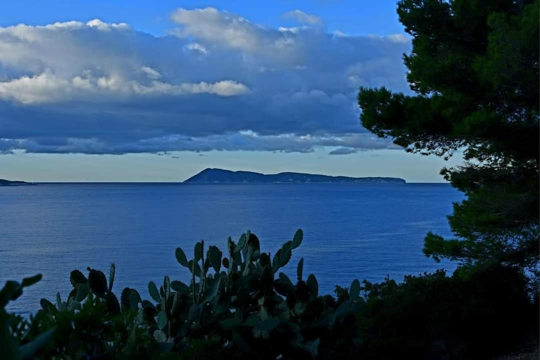 Apartman Karlo