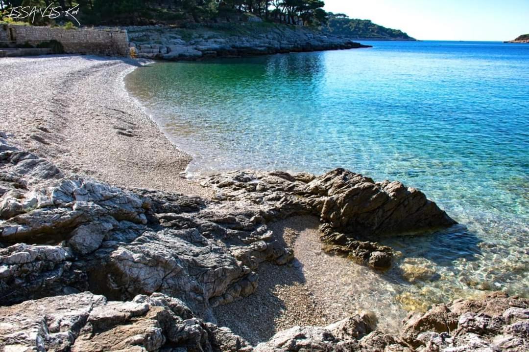 Apartman Karlo Rukavac (Vis)